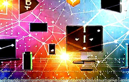 The Fogo Mainnet Halt: When Validators Become the Kill Switch